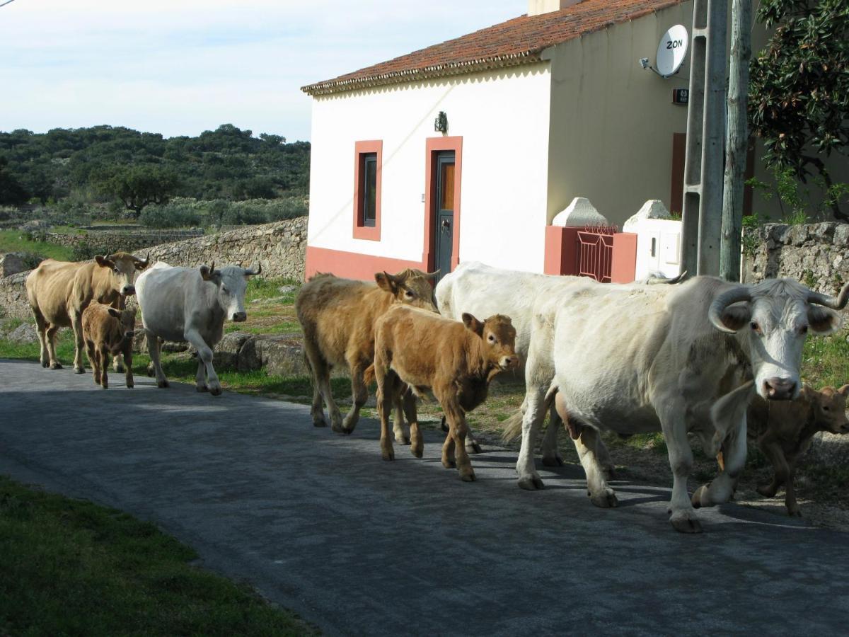Casas Da Estacao, Country Houses Marvão Δωμάτιο φωτογραφία